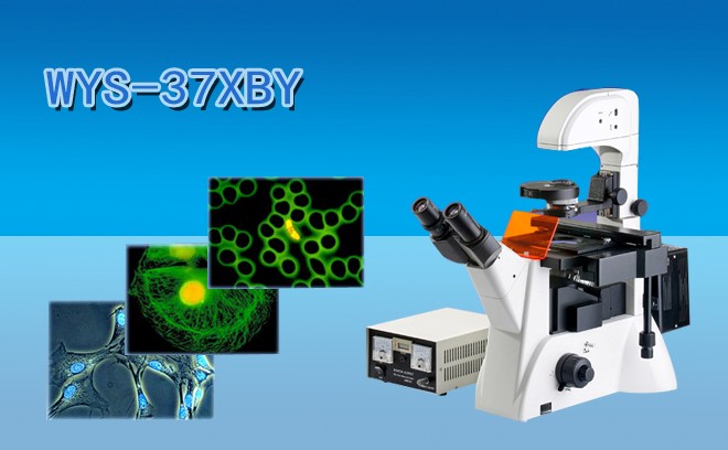 倒置熒光顯微鏡的原理